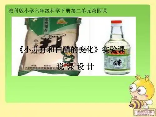 小苏打和白醋的反应实验课说课精编版