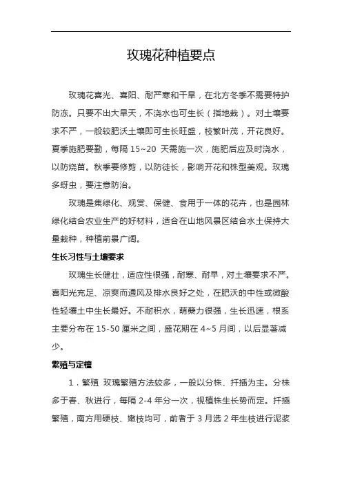 玫瑰花种植要点