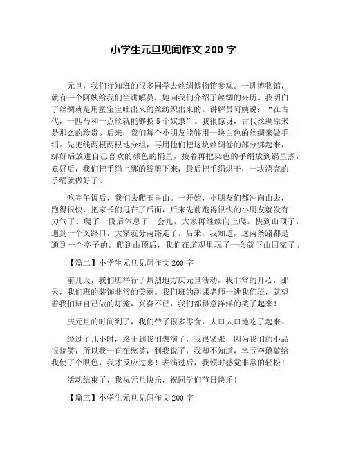 小学生元旦见闻作文200字