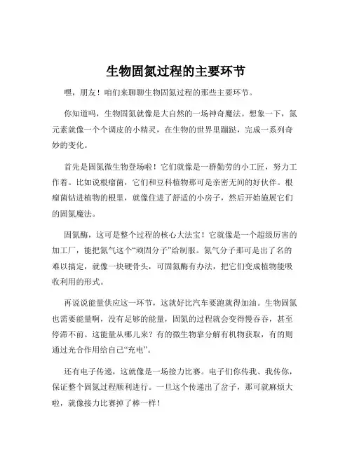 生物固氮过程的主要环节