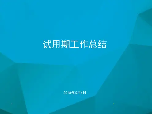 试用期工作总结全面.ppt