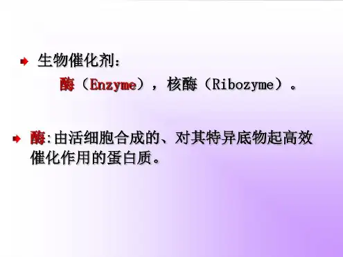 第03章酶PPT.