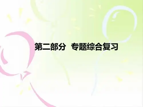 中考专题训练课件 专题五  代数几何综合