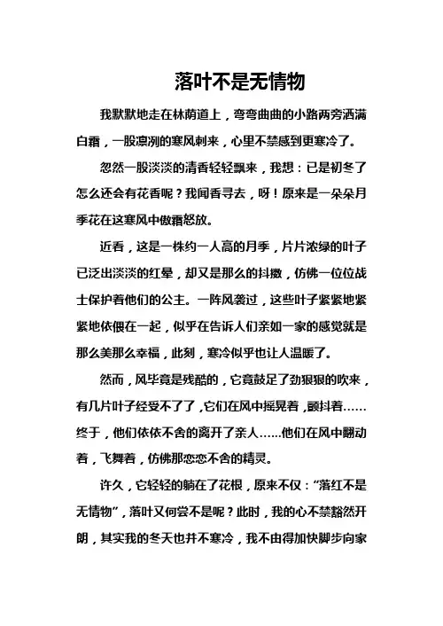 落叶不是无情物