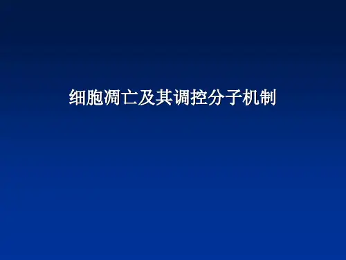 细胞凋亡及其调控分子机制