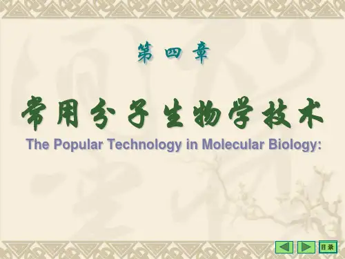 常用分子生物学技术