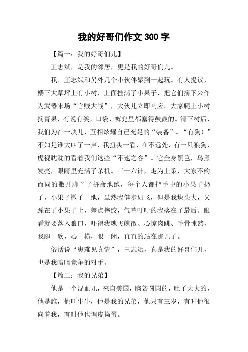 我的好哥们作文300字