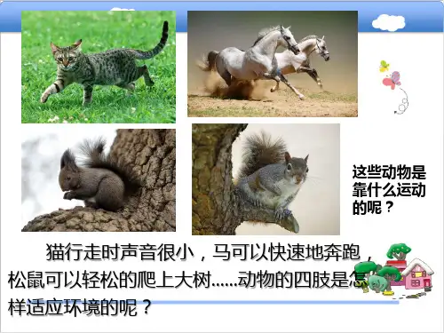 (2019新版)青岛版六三制小学科学最新三年级上册科学《动物的四肢》