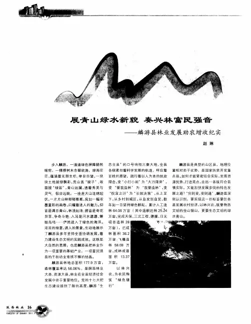 展青山绿水新貌 奏兴林富民强音——麟游县林业发展助农增收纪实