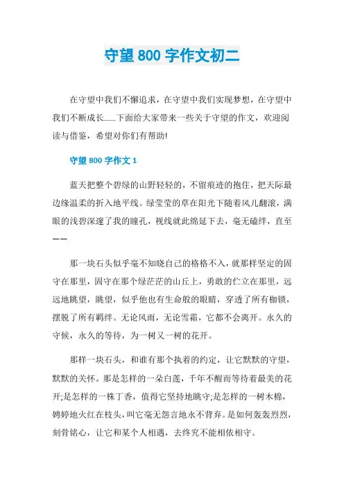 守望800字作文初二