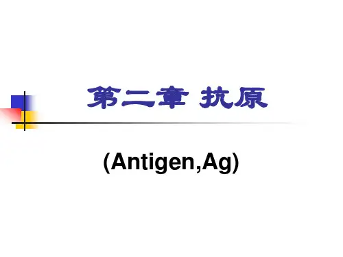 免疫学第二章 抗原
