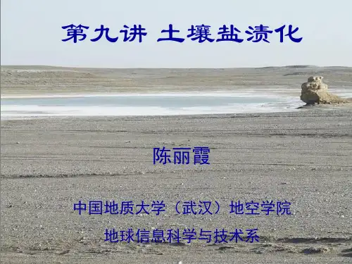 9_第九讲--土壤盐渍化