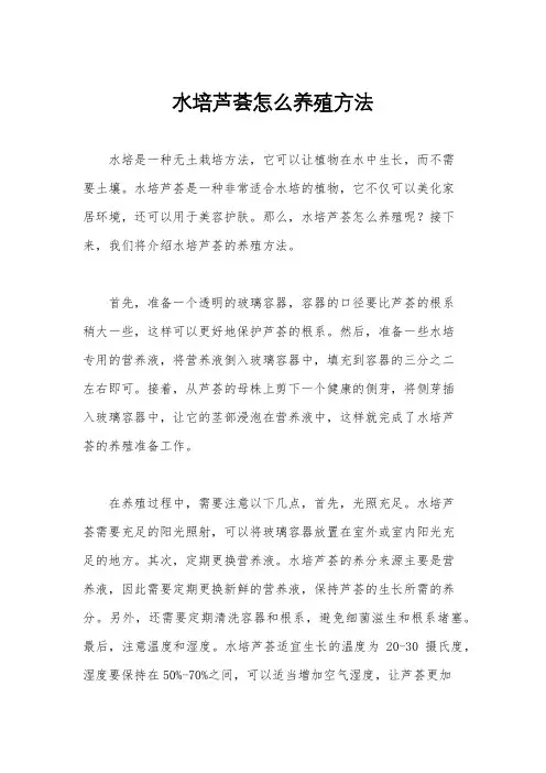 水培芦荟怎么养殖方法 2