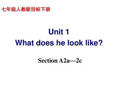 Unit 1 what does he look like 课件