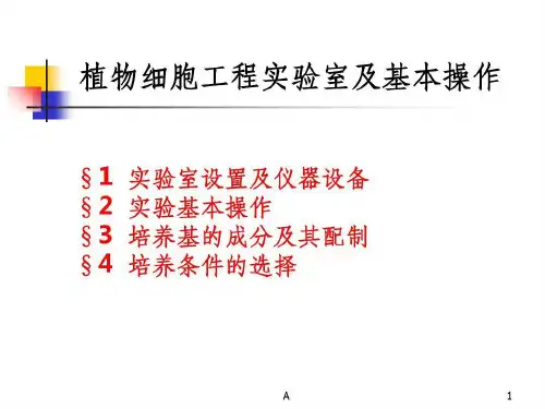植物细胞工程实验室及基本操作共108页