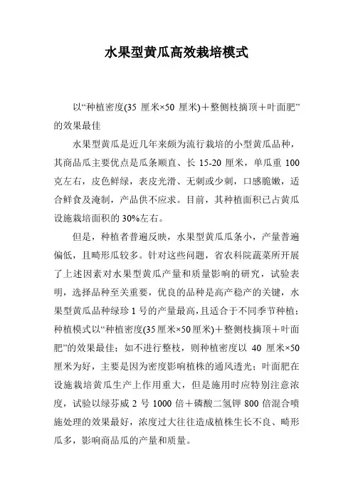 水果型黄瓜高效栽培模式