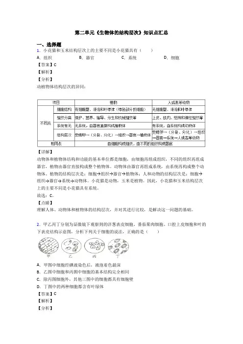 第二单元《生物体的结构层次》知识点汇总