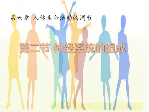 生物七年级下册第六章第二节 神经系统的组成