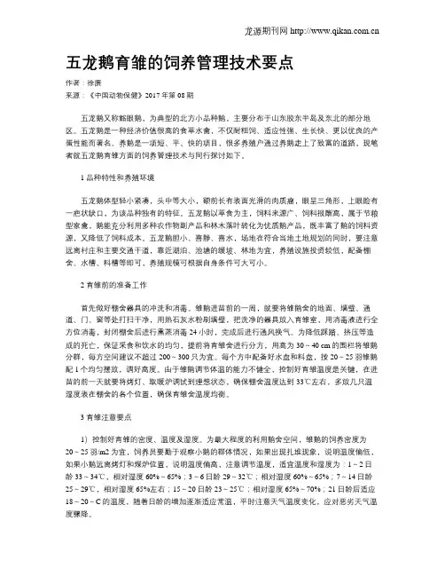 五龙鹅育雏的饲养管理技术要点