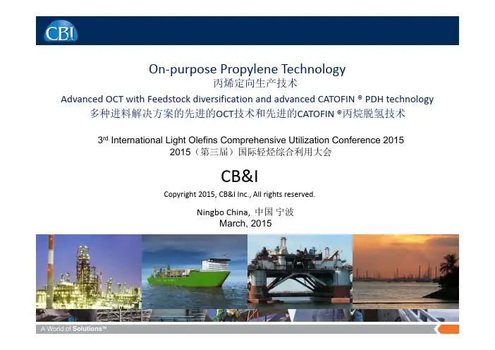 12.多种进料解决方案的OCT和丙烷脱氢技术-CBI-Lummus