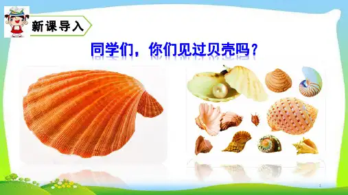 二年级语文下册—识字3“贝”的故事ppt课件