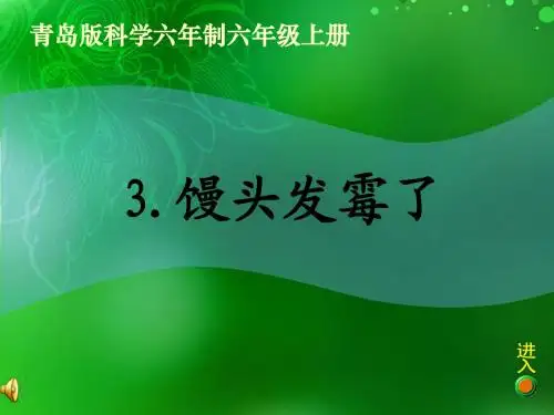 馒头发霉了(课件)