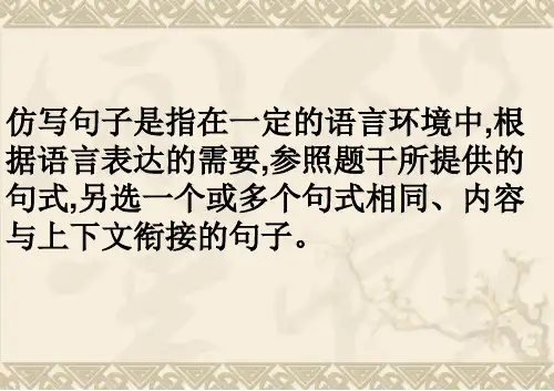 仿写句子