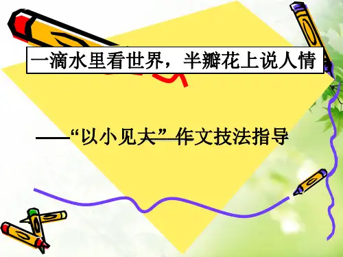 作文指导“以小见大”