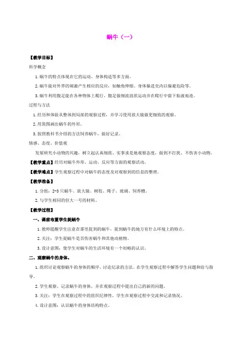 三年级科学上册 蜗牛(一)教案 教科版
