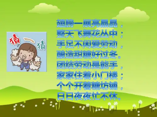 部编新人教版三年级下册语文蜜蜂课件
