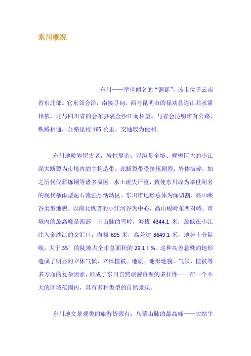 东川概况