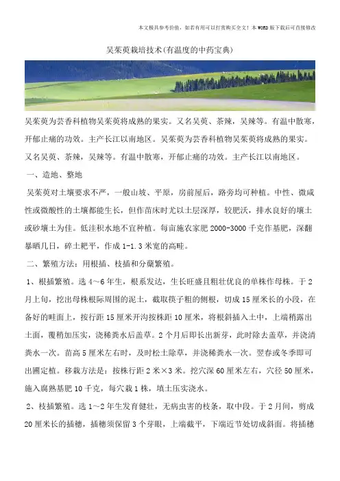 吴茱萸栽培技术(有温度的中药宝典)