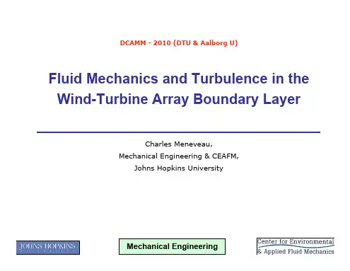 Meneveau-Wind-DCAMM-2010