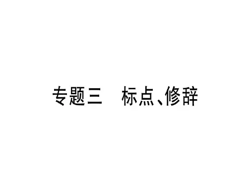 人教版九年级语文下册(通用版)习题讲评课件：专题三(共19张PPT)