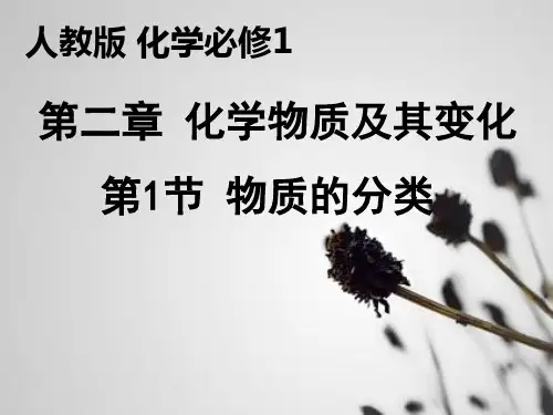 高一化学必修一第二章第一节第一课时 简单分类法