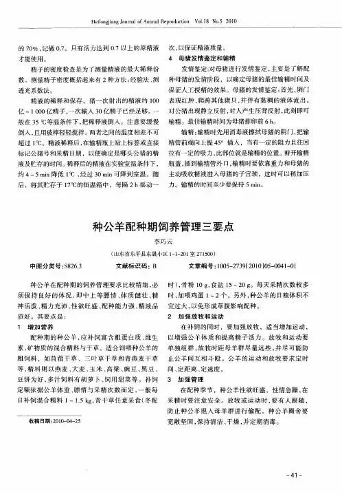 种公羊配种期饲养管理三要点