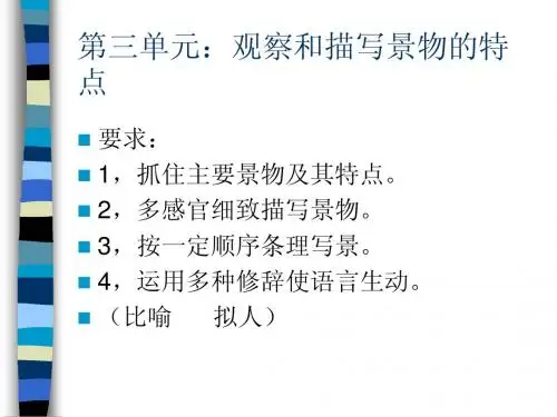 想象作文教学(1)