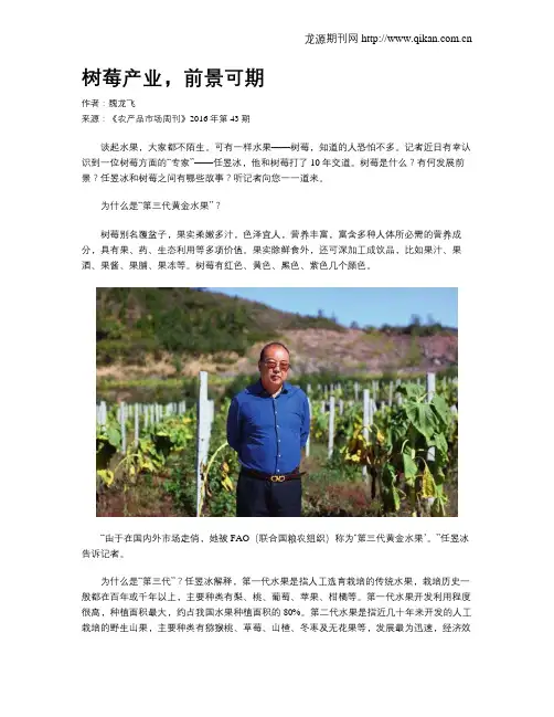 树莓产业,前景可期