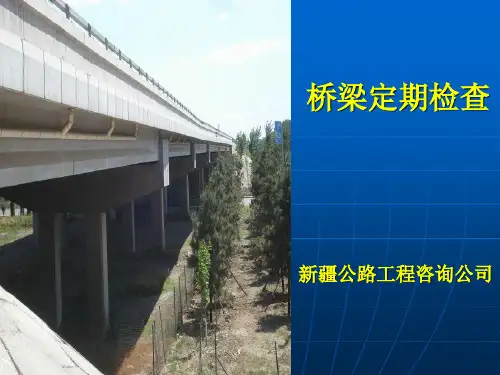 桥梁定期检查技术方案
