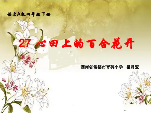 心田上的百合花开课件