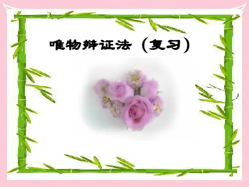 唯物辩证法(复习)