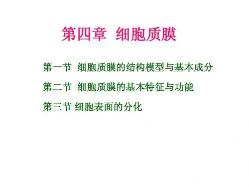 第四章 细胞质膜