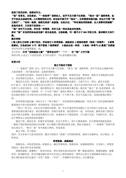 “独”有怎样的体会或见解作文