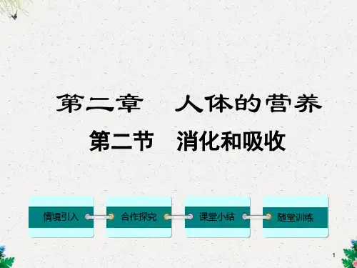 人教版七年级生物下册 消化和吸收  课件