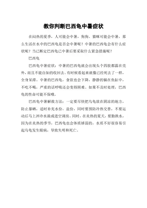 教你判断巴西龟中暑症状