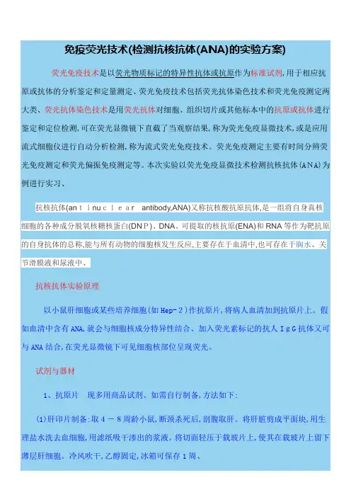 免疫荧光检测