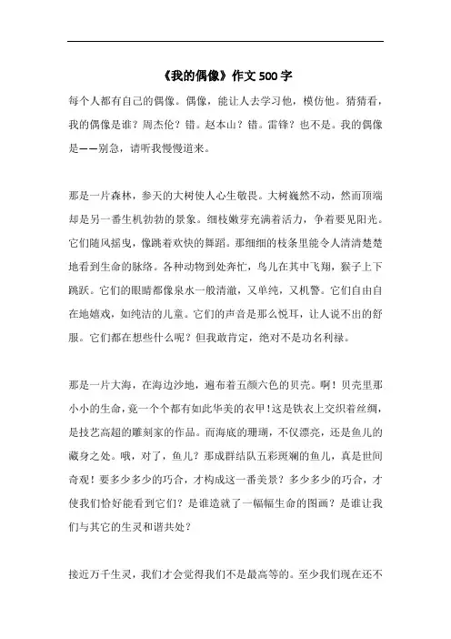 《我的偶像》作文500字