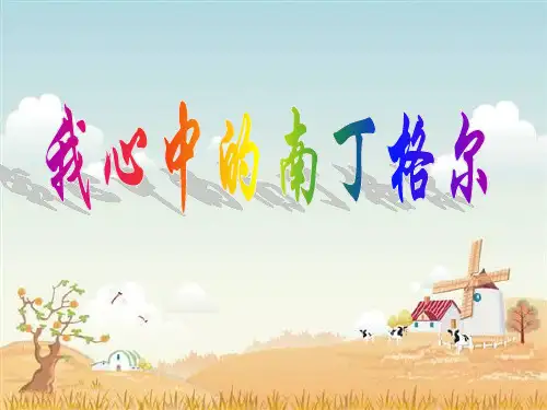 南丁格尔  ppt课件
