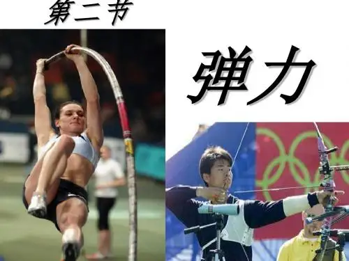 弹力课件