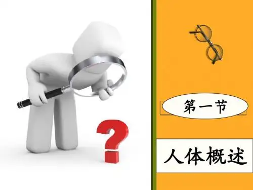 第一节 人体概述
